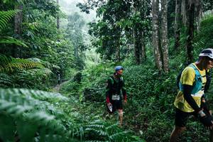 BIB: 
                            <button type="button" onclick="openModal(26359306)" class="btn btn-primary btn-sm float-right btn-popup" data-toggle="modal" data-target=".modal-high-quality">
                        <i class="fas fa-shopping-cart"></i> Add to Cart
                    </button>
                                            <button type="button" onclick="isThisMe(26359306, true)" class="btn btn-success btn-sm float-right btn-popup btn-isme hidden" data-toggle="tooltip" data-placement="bottom" title="นี่คือรูปของคุณใช่ไหม คลิกที่นี่เพื่อเอาเข้าอัลบั้ม">
                        <i class="fas fa-plus"></i> Add to album
                    </button>
                    <button type="button" onclick="isThisMe(26359306, false)" class="btn btn-warning btn-sm float-right btn-popup btn-isnotme hidden">
                        <i class="fas fa-ban"></i> Remove from album
                    </button>